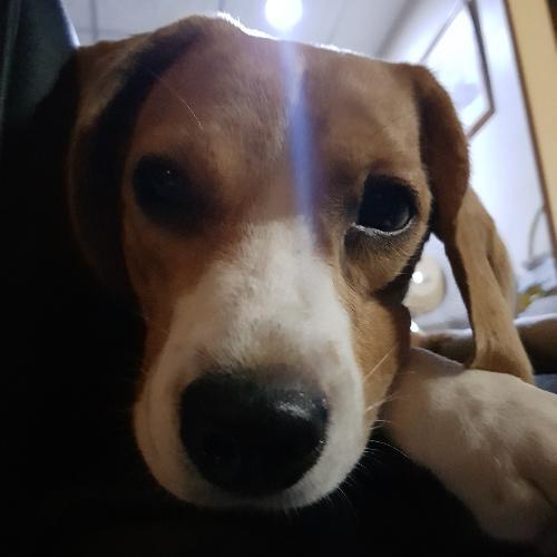 สมาชิกหมายเลข 894810