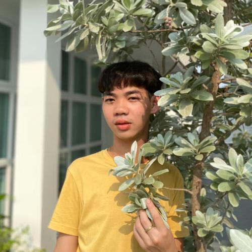 สมาชิกหมายเลข 6483540