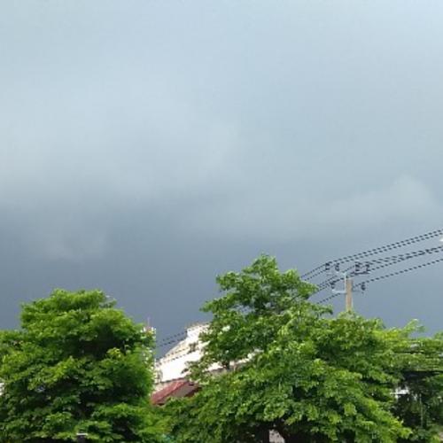 สมาชิกหมายเลข 718557