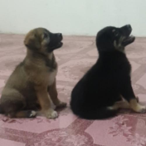 สมาชิกหมายเลข 7630321