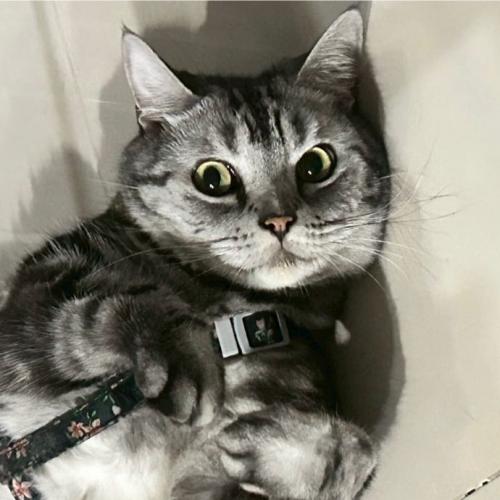 สมาชิกหมายเลข 4524528