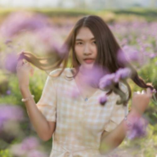 สมาชิกหมายเลข 7587419