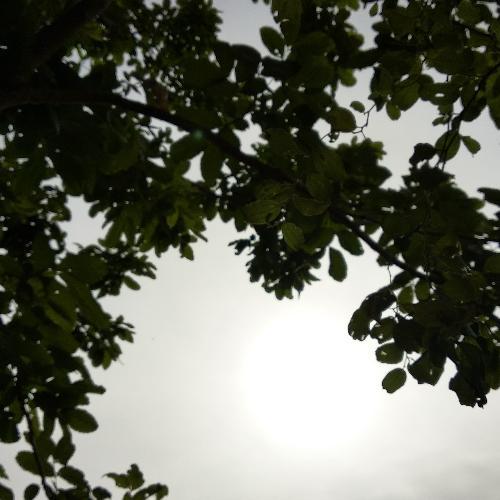 สมาชิกหมายเลข 4626164