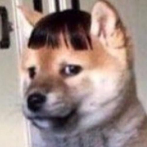 สมาชิกหมายเลข 4988567