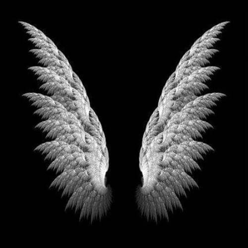 สมาชิกหมายเลข 4990608