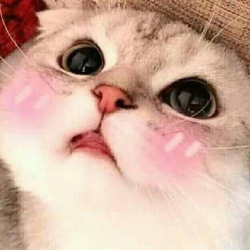 สมาชิกหมายเลข 4904592