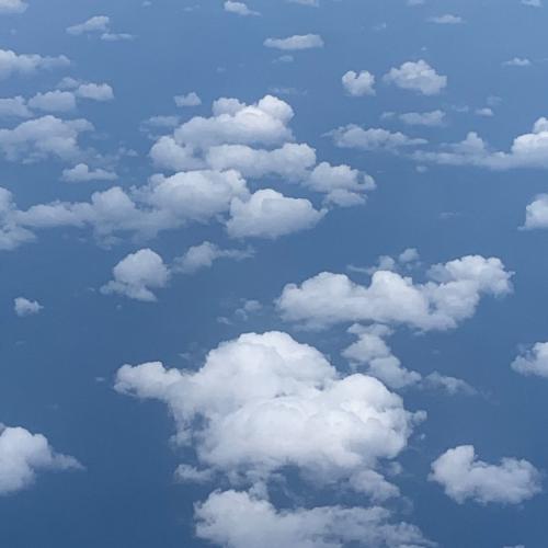 สมาชิกหมายเลข 3780779