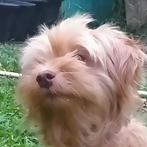 สมาชิกหมายเลข 5884043