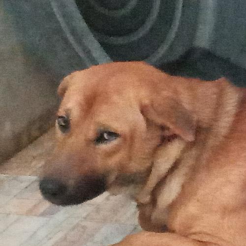 สมาชิกหมายเลข 6341190