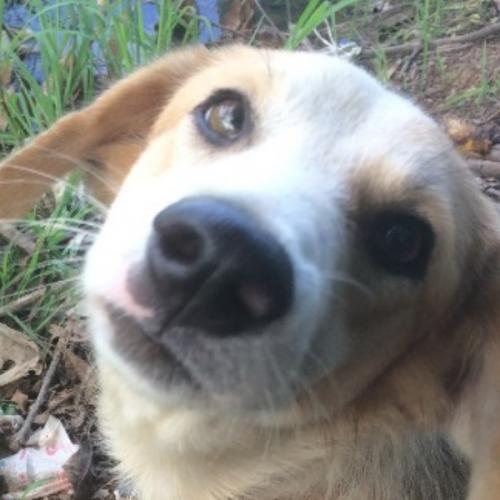 สมาชิกหมายเลข 1190169