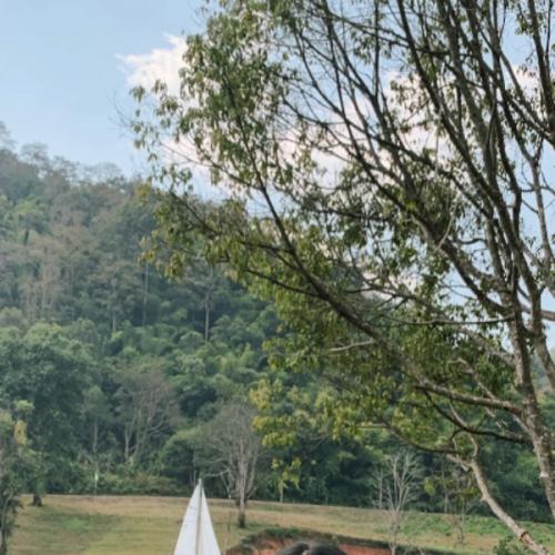 สมาชิกหมายเลข 2259001