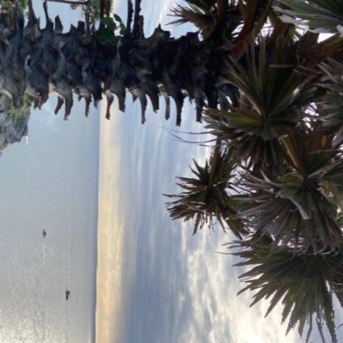 สมาชิกหมายเลข 3104940