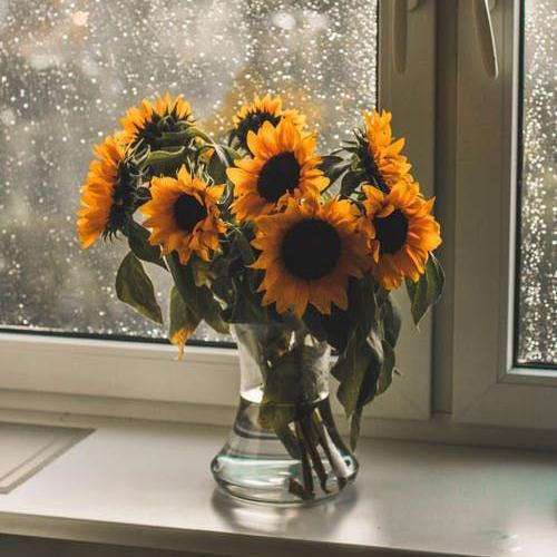 สมาชิกหมายเลข 7928605