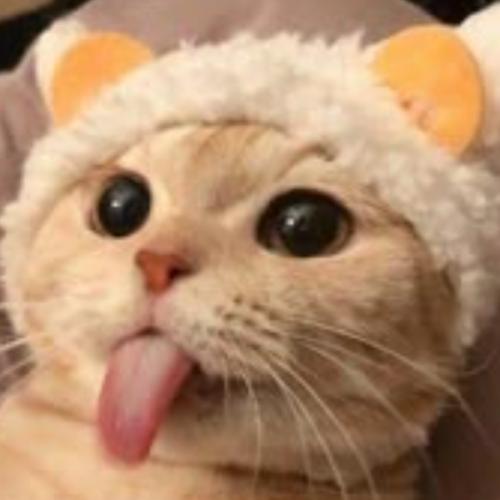 สมาชิกหมายเลข 2573115