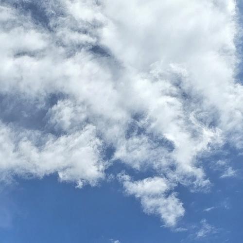 สมาชิกหมายเลข 4693139