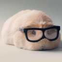 สมาชิกหมายเลข 3780243