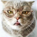 TinaCat