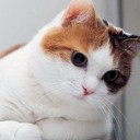 สมาชิกหมายเลข 4244577