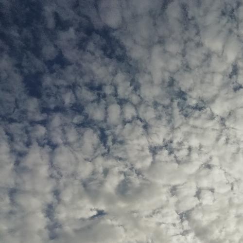 สมาชิกหมายเลข 4632572