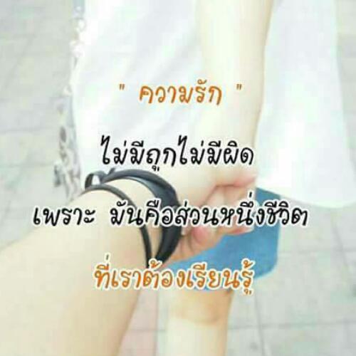 สมาชิกหมายเลข 4632599