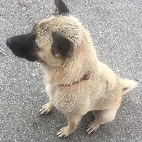 สมาชิกหมายเลข 4632631