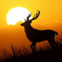 สมาชิกหมายเลข 4114553