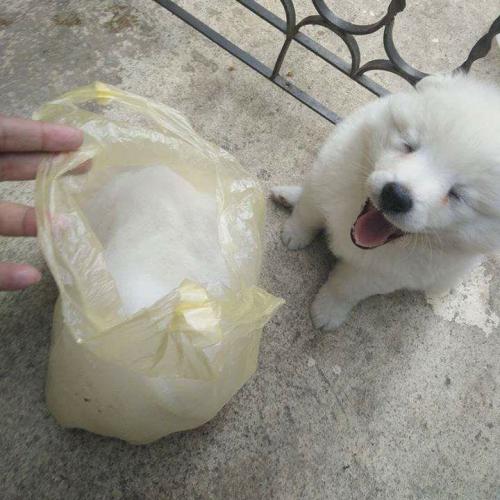 สมาชิกหมายเลข 4901708