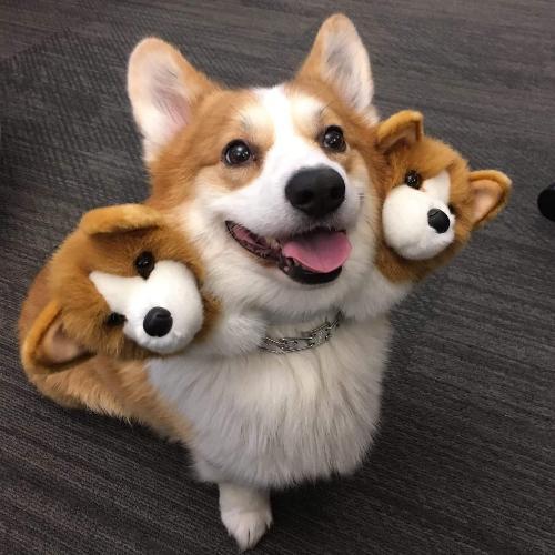 สมาชิกหมายเลข 4990779