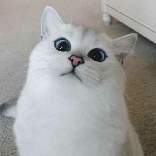 สมาชิกหมายเลข 5279917