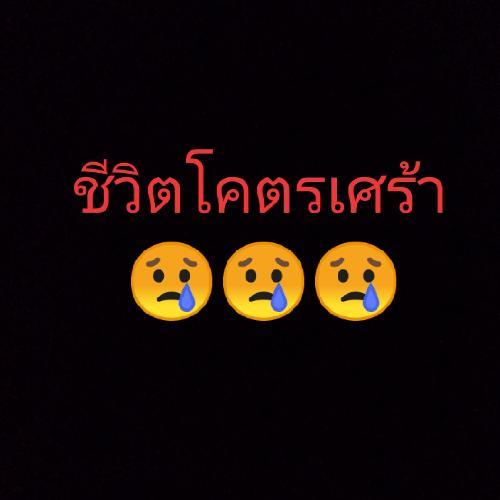 สมาชิกหมายเลข 5353656