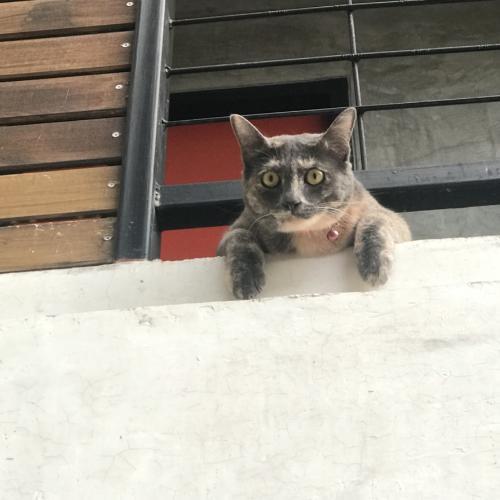 สมาชิกหมายเลข 5385753