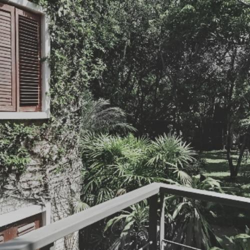 สมาชิกหมายเลข 4527251