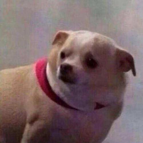 สมาชิกหมายเลข 6485000