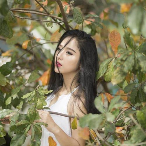 สมาชิกหมายเลข 7191968