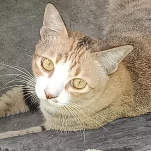 สมาชิกหมายเลข 7995846