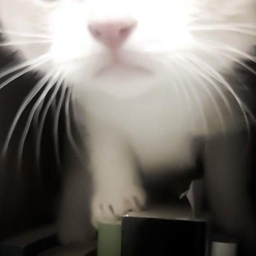 สมาชิกหมายเลข 7996328