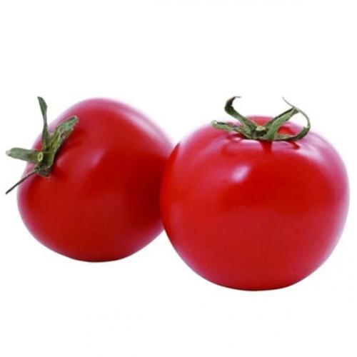 สมาชิกหมายเลข 9024286