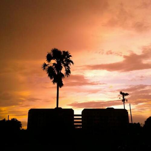 สมาชิกหมายเลข 4992035