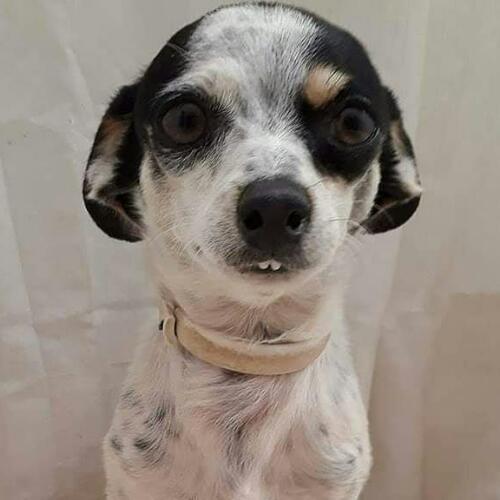 สมาชิกหมายเลข 4092688