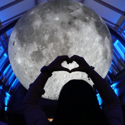 สมาชิกหมายเลข 3392194