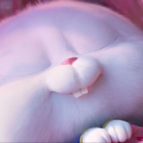 สมาชิกหมายเลข 5875231