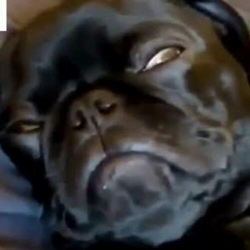 สมาชิกหมายเลข 5884825