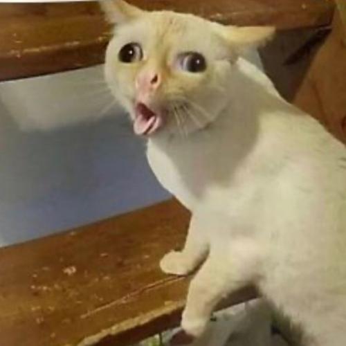 สมาชิกหมายเลข 5884945