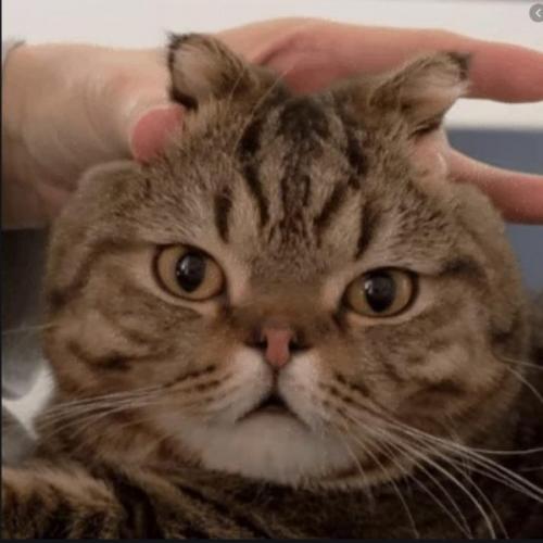 สมาชิกหมายเลข 5885055