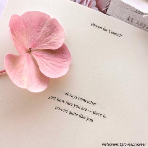 สมาชิกหมายเลข 5885060