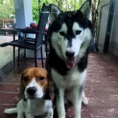 สมาชิกหมายเลข 5885193