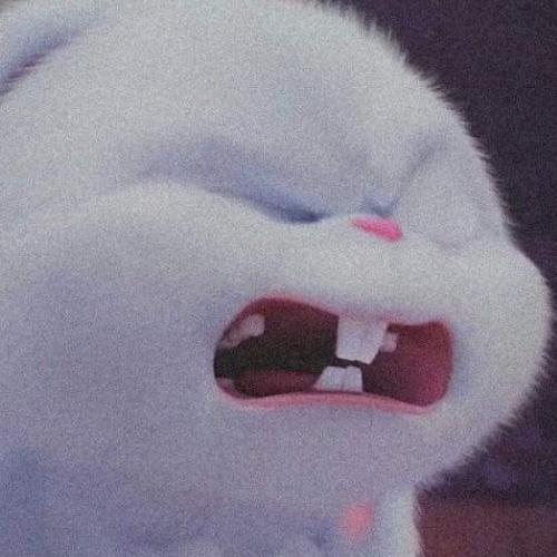 สมาชิกหมายเลข 5885196