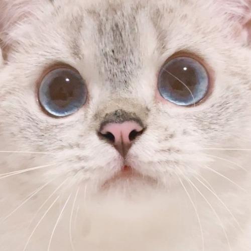 สมาชิกหมายเลข 5907477