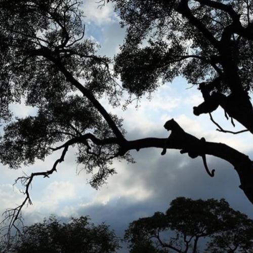 สมาชิกหมายเลข 7151518