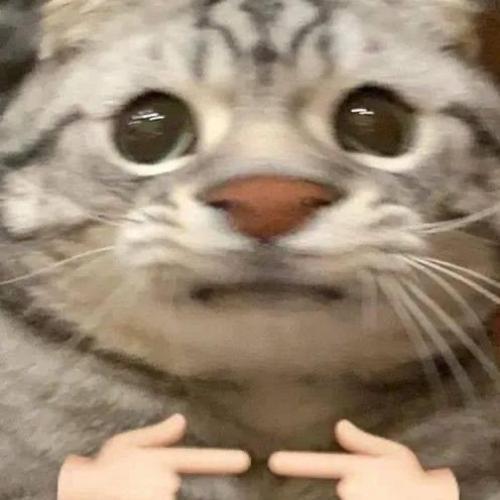 สมาชิกหมายเลข 7955346